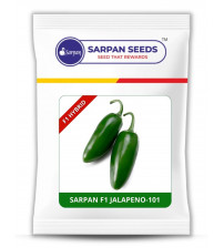 Chilli / Hot Pepper Sarpan F1 Jalapeno-101 10 grams